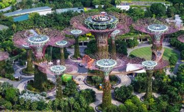 Vườn thực vật garden by the bay singapore