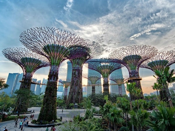 Garden By The Bay - Tuyệt tác kiến trúc vĩ đại tại Singapore