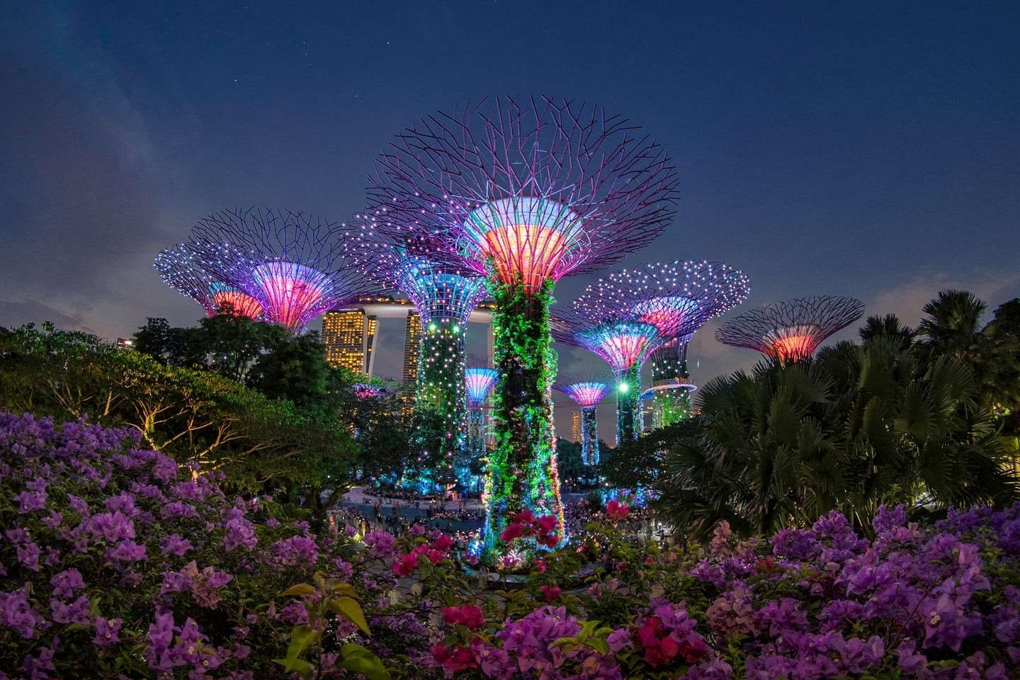 garden-by-the-bay-cover